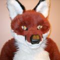 Soft Fox